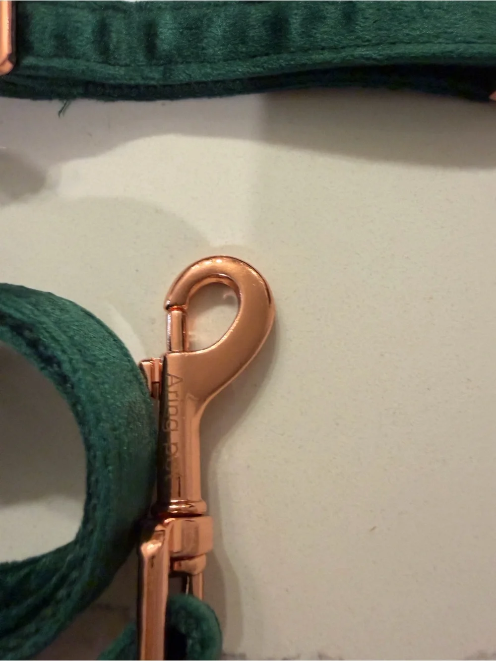 NWOT Aring Pet Emerald Green Velvet Dog Collar & Leash Set